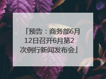 预告：商务部6月12日召开6月第2次例行新闻发布会