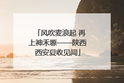 风吹麦浪起 再上神禾塬——陕西西安夏收见闻