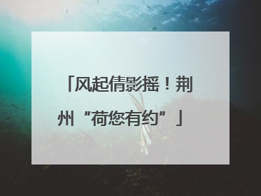 风起倩影摇！荆州“荷您有约”