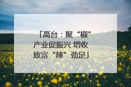 高台：聚“椒”产业促振兴 增收致富“辣”劲足