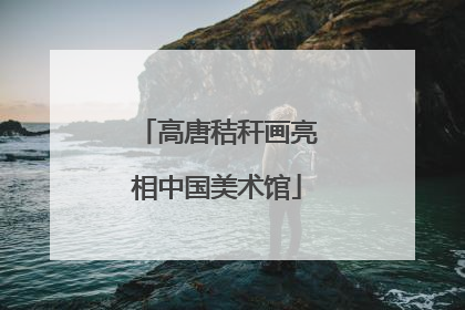 高唐秸秆画亮相中国美术馆