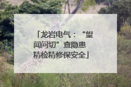 龙岩电气：“望闻问切”查隐患 精检精修保安全