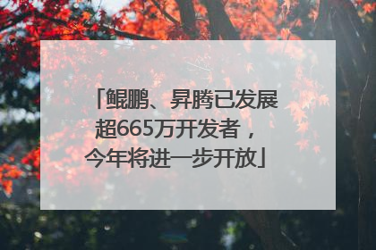 鲲鹏、昇腾已发展超665万开发者，今年将进一步开放
