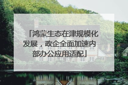 鸿蒙生态在津规模化发展，政企全面加速内部办公应用适配
