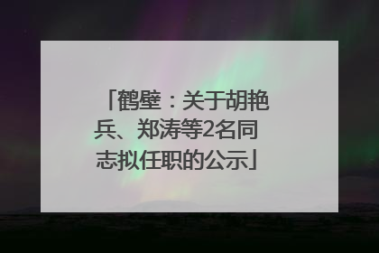 鹤壁：关于胡艳兵、郑涛等2名同志拟任职的公示