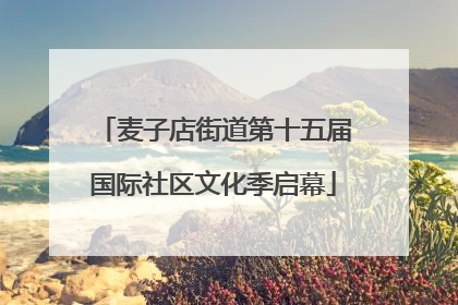 麦子店街道第十五届国际社区文化季启幕