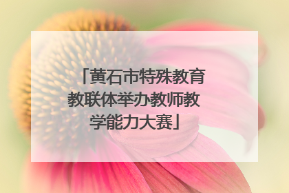 黄石市特殊教育教联体举办教师教学能力大赛