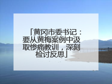 黄冈市委书记：要从黄梅案例中汲取惨痛教训，深刻检讨反思