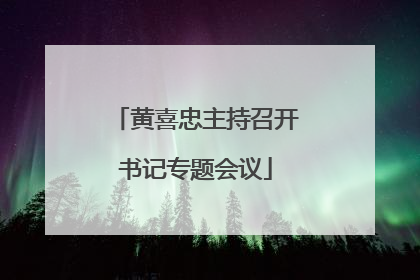 黄喜忠主持召开书记专题会议