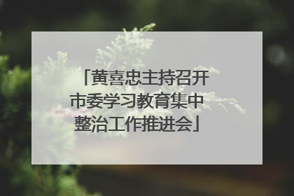 黄喜忠主持召开市委学习教育集中整治工作推进会