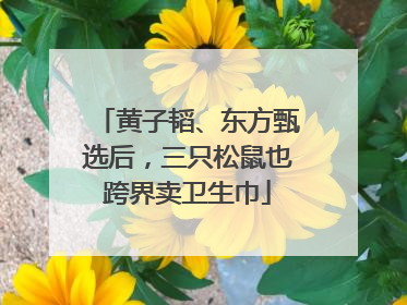 黄子韬、东方甄选后，三只松鼠也跨界卖卫生巾