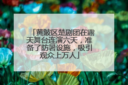 黄陂区楚剧团在露天舞台连演六天，准备了防暑设施，吸引观众上万人