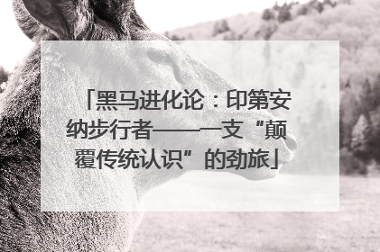 黑马进化论：印第安纳步行者——一支“颠覆传统认识”的劲旅