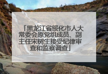 黑龙江省绥化市人大常委会原党组成员、副主任宋树生接受纪律审查和监察调查