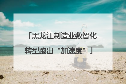黑龙江制造业数智化转型跑出“加速度”