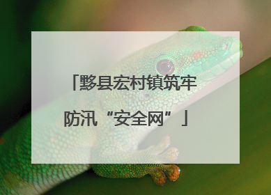 黟县宏村镇筑牢防汛“安全网”