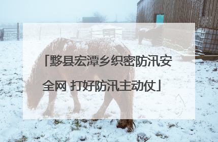 黟县宏潭乡织密防汛安全网 打好防汛主动仗