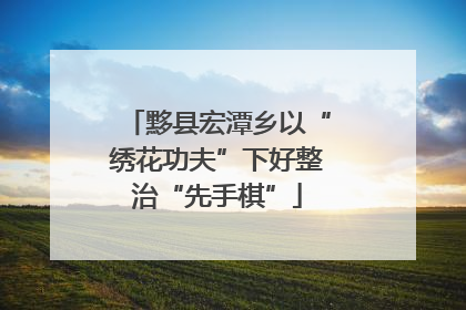 黟县宏潭乡以“绣花功夫”下好整治“先手棋”