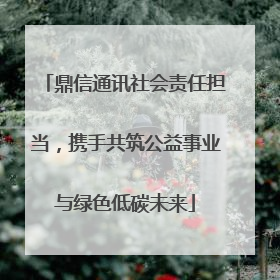 鼎信通讯社会责任担当，携手共筑公益事业与绿色低碳未来