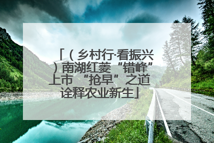 （乡村行·看振兴）南湖红菱“错峰”上市 “抢早”之道诠释农业新生