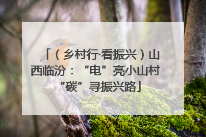 （乡村行·看振兴）山西临汾：“电”亮小山村 “碳”寻振兴路