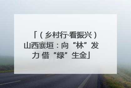 （乡村行·看振兴）山西襄垣：向“林”发力 借“绿”生金