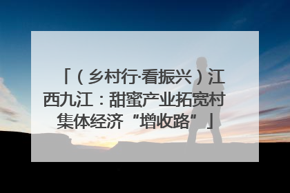 （乡村行·看振兴）江西九江：甜蜜产业拓宽村集体经济“增收路”