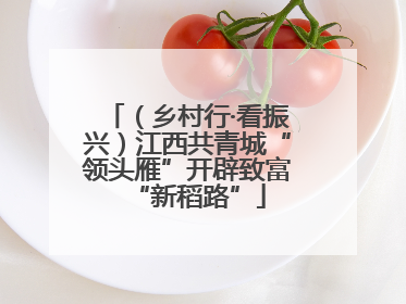 （乡村行·看振兴）江西共青城“领头雁”开辟致富“新稻路”