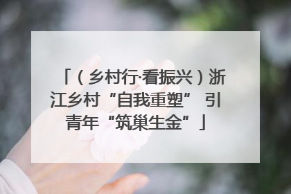 （乡村行·看振兴）浙江乡村“自我重塑” 引青年“筑巢生金”