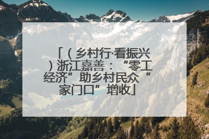 （乡村行·看振兴）浙江嘉善：“零工经济”助乡村民众“家门口”增收