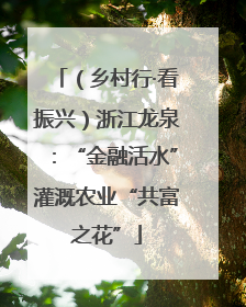 （乡村行·看振兴）浙江龙泉：“金融活水”灌溉农业“共富之花”