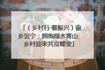 （乡村行·看振兴）畲乡景宁：拥抱绿水青山 乡村迎来共富蝶变