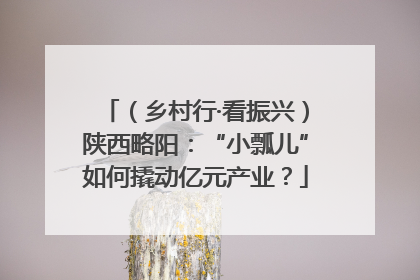 （乡村行·看振兴）陕西略阳：“小瓢儿”如何撬动亿元产业？
