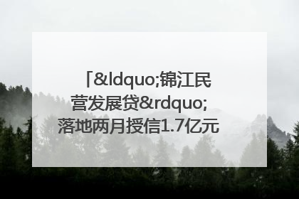 “锦江民营发展贷”落地两月授信1.7亿元，惠及118家民企