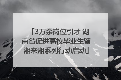 3万余岗位引才 湖南省促进高校毕业生留湘来湘系列行动启动