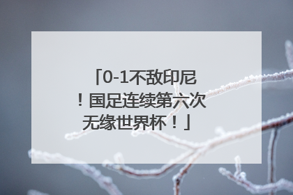 0-1不敌印尼！国足连续第六次无缘世界杯！