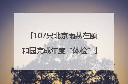 107只北京雨燕在颐和园完成年度“体检”