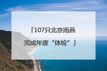 107只北京雨燕完成年度“体检”