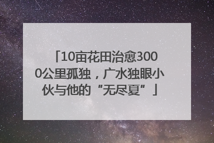 10亩花田治愈3000公里孤独，广水独眼小伙与他的“无尽夏”
