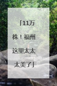 11万株！福州这里太太太美了