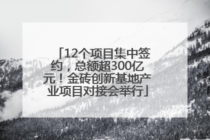 12个项目集中签约，总额超300亿元！金砖创新基地产业项目对接会举行