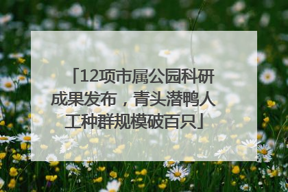 12项市属公园科研成果发布，青头潜鸭人工种群规模破百只