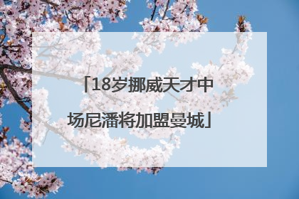 18岁挪威天才中场尼潘将加盟曼城