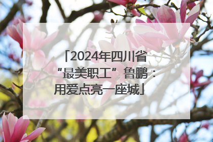 2024年四川省“最美职工”鲁鹏：用爱点亮一座城