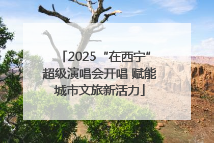 2025“在西宁”超级演唱会开唱 赋能城市文旅新活力