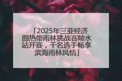 2025年三亚经济圈热带雨林挑战赛陵水站开赛，千名选手畅享滨海雨林风情