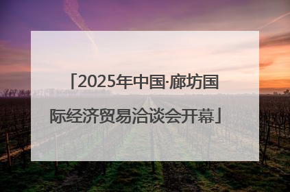 2025年中国·廊坊国际经济贸易洽谈会开幕