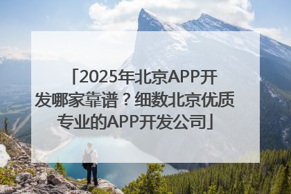 2025年北京APP开发哪家靠谱？细数北京优质专业的APP开发公司