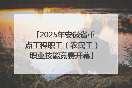 2025年安徽省重点工程职工（农民工）职业技能竞赛开幕