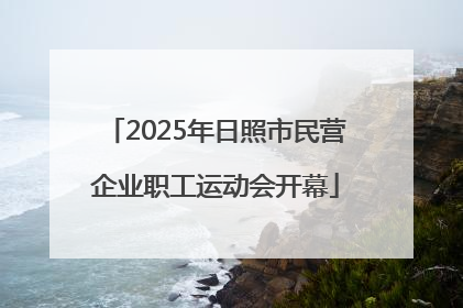 2025年日照市民营企业职工运动会开幕